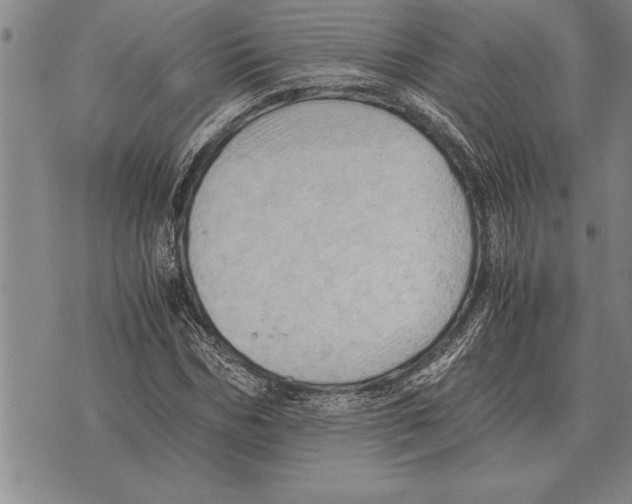 X0000075870970200610151656