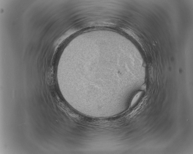 X0000075870971200610151656