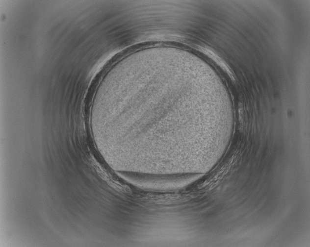 X0000075870972200610151656