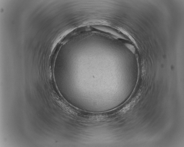 X0000075870973200610151656