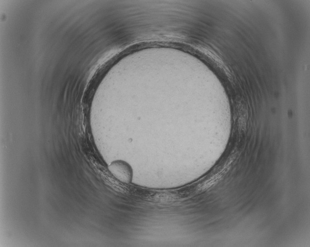 X0000075870974200610151656