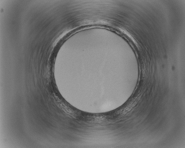 X0000075870975200610151656