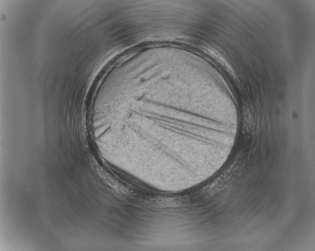 X0000075870976200610151656