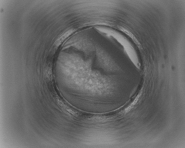 X0000075870977200610151656