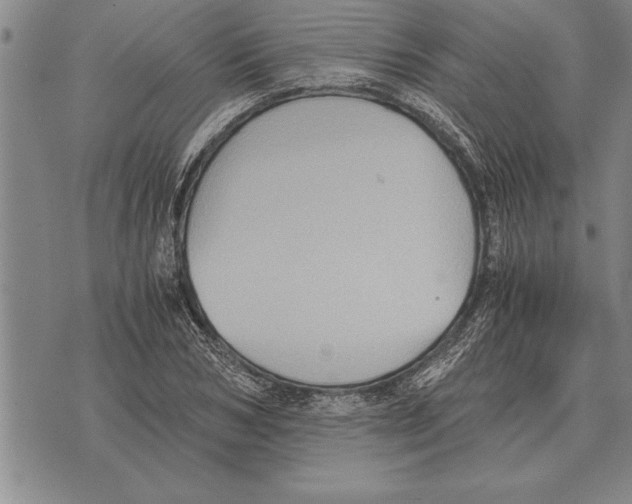 X0000075870978200610151656