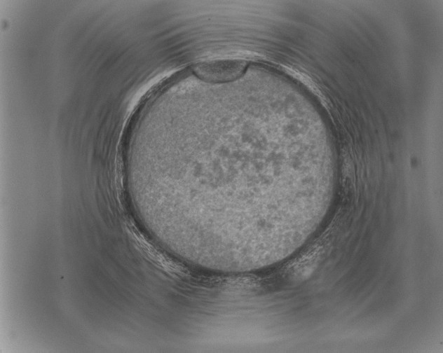 X0000075870979200610151656