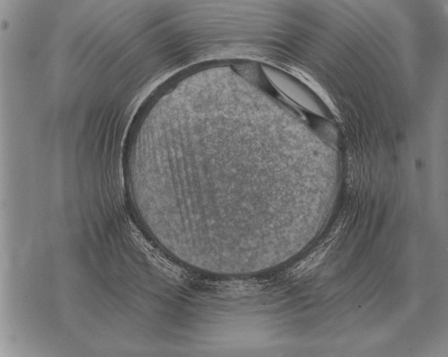 X0000075870980200610151656