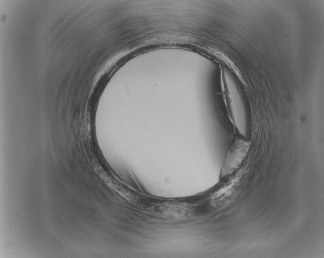 X0000075870981200610151656