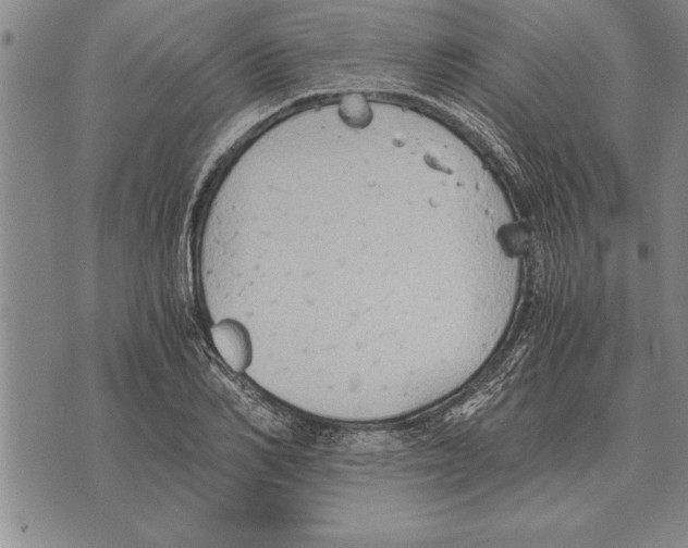 X0000075870982200610151656