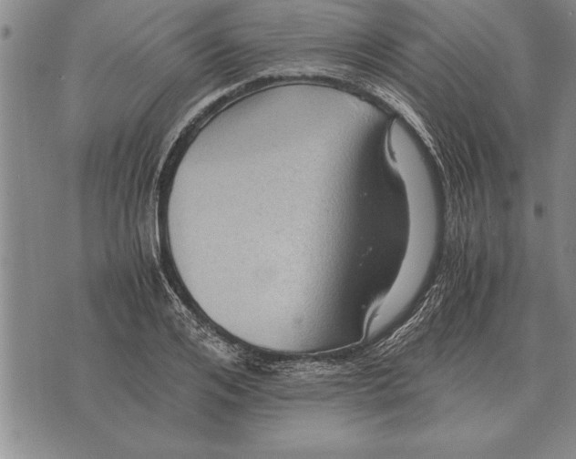 X0000075870984200610151656