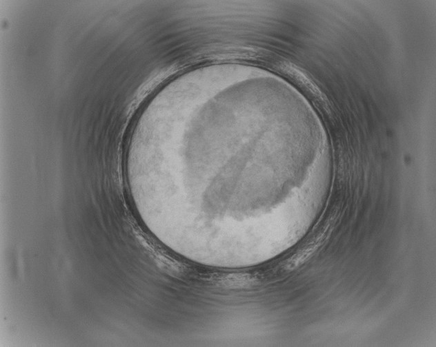 X0000075870986200610151656