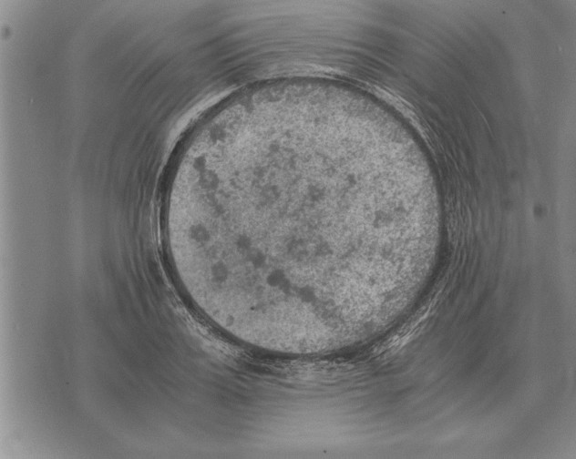 X0000075870987200610151656