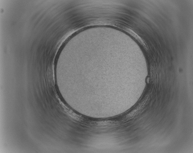 X0000075870988200610151656