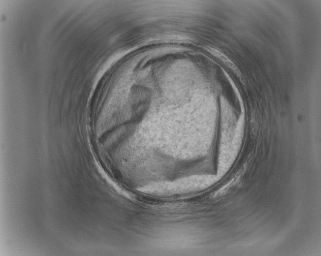 X0000075870989200610151656