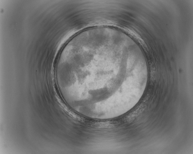 X0000075870990200610151656