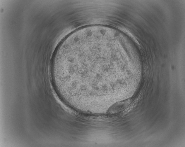 X0000075870991200610151656