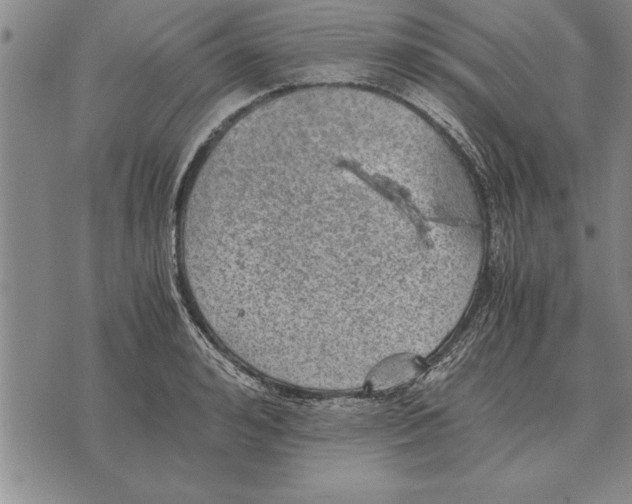 X0000075870992200610151656