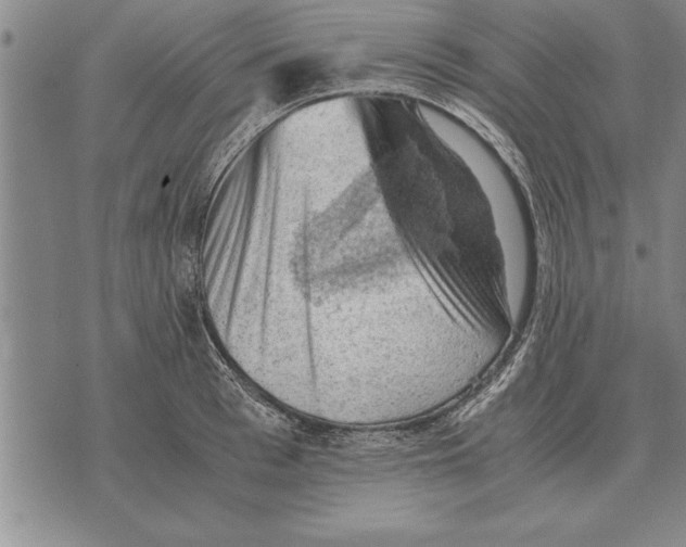 X0000075870993200610151656