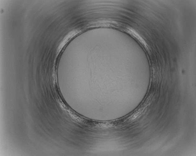 X0000075870994200610151656