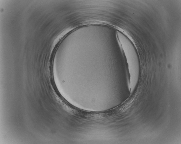 X0000075870995200610151656