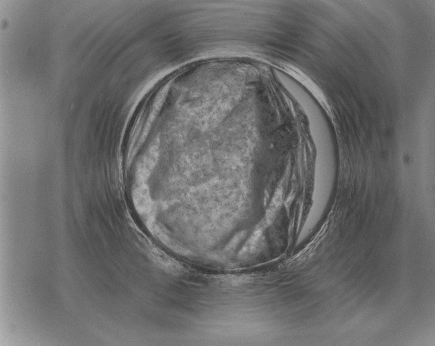 X0000075870996200610151656