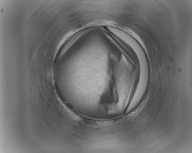 X0000075870997200610151656