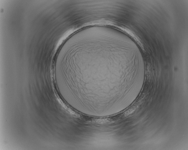 X0000075870998200610151656