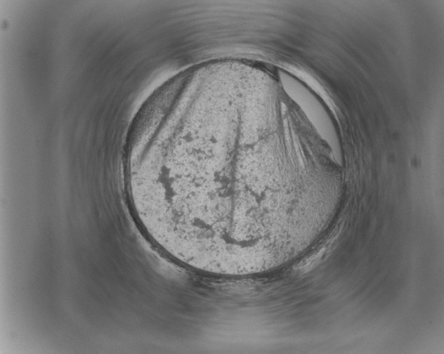 X0000075870999200610151656