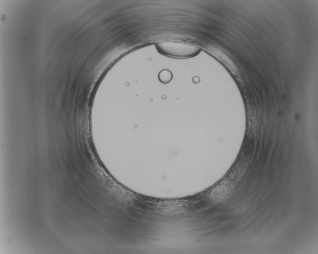 X0000075871000200610151656