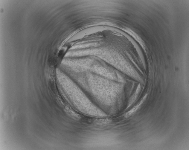 X0000075871001200610151656