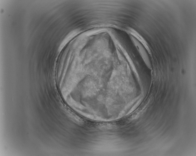 X0000075871002200610151656