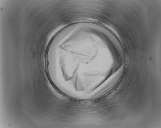 X0000075871003200610151656