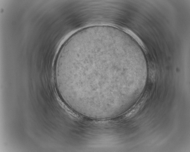 X0000075871004200610151656