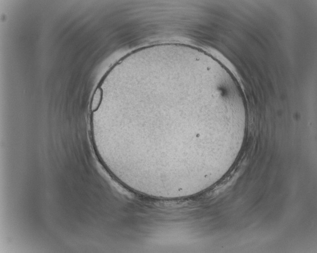 X0000075871005200610151656