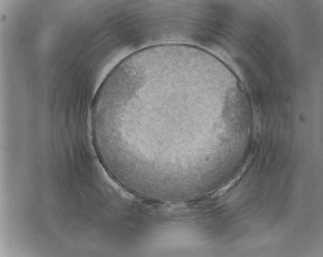 X0000075871006200610151656