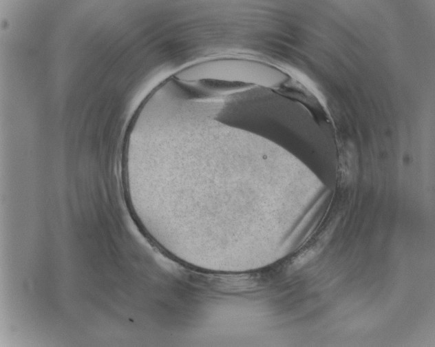 X0000075871007200610151656