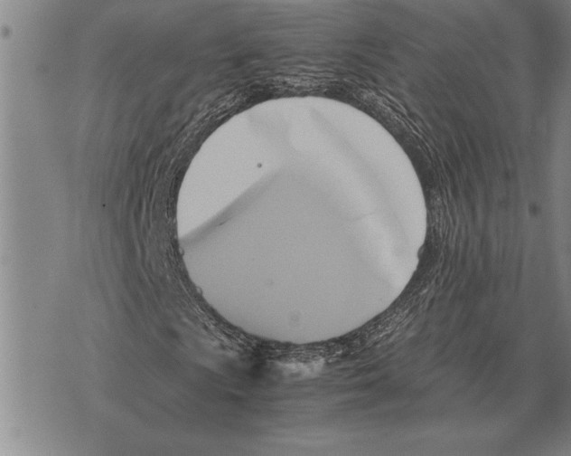 X0000075871009200610151655