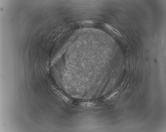 X0000075871010200610151655