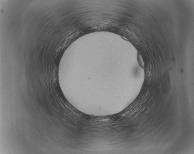 X0000075871012200610151655