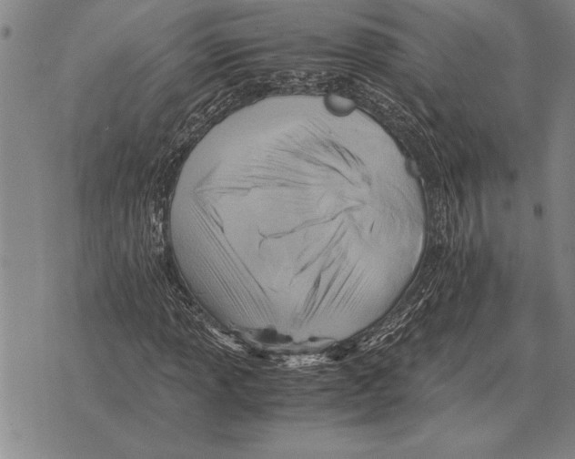 X0000075871013200610151655