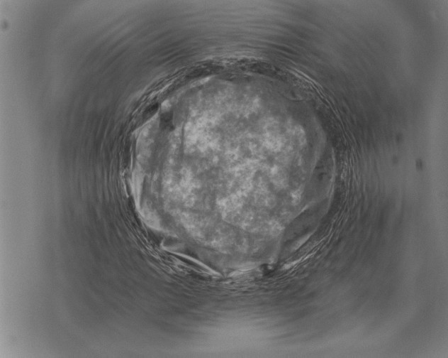 X0000075871014200610151655