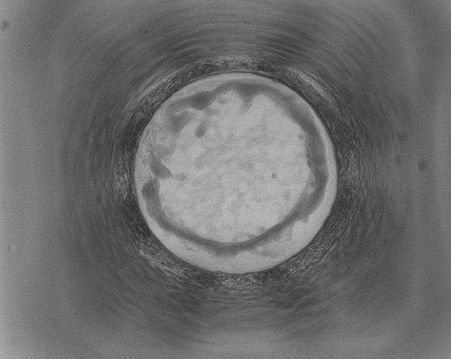 X0000075871015200610151655