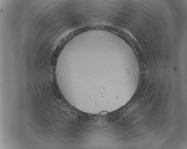 X0000075871016200610151655