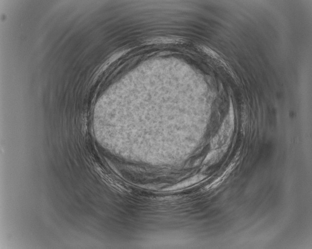 X0000075871017200610151655