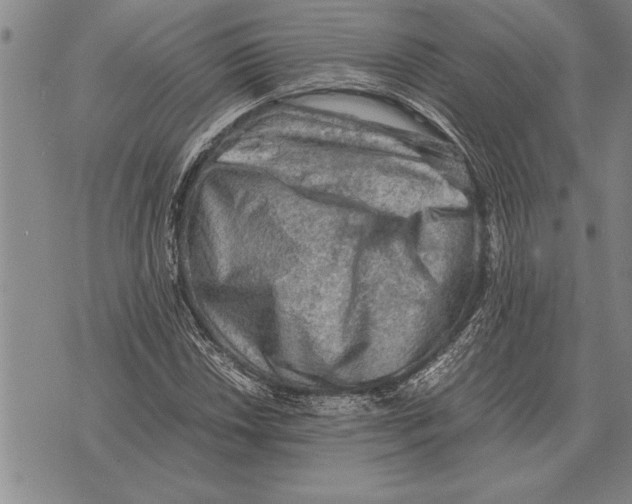 X0000075871018200610151655