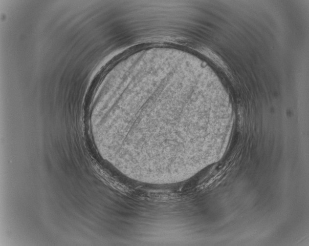 X0000075871020200610151655