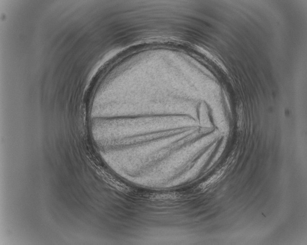 X0000075871021200610151655