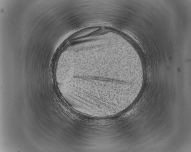 X0000075871022200610151655