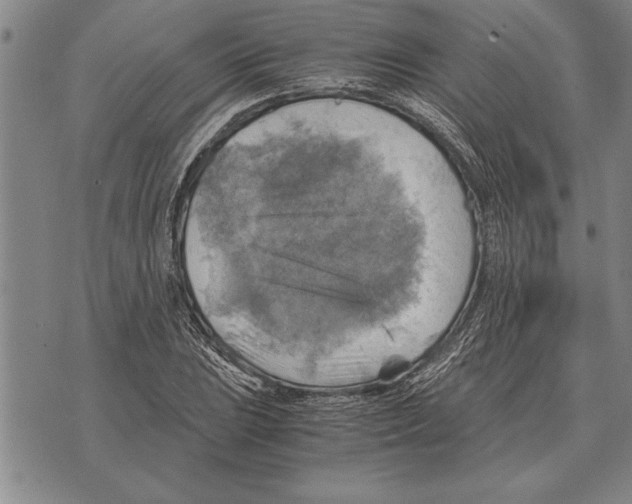 X0000075871023200610151655