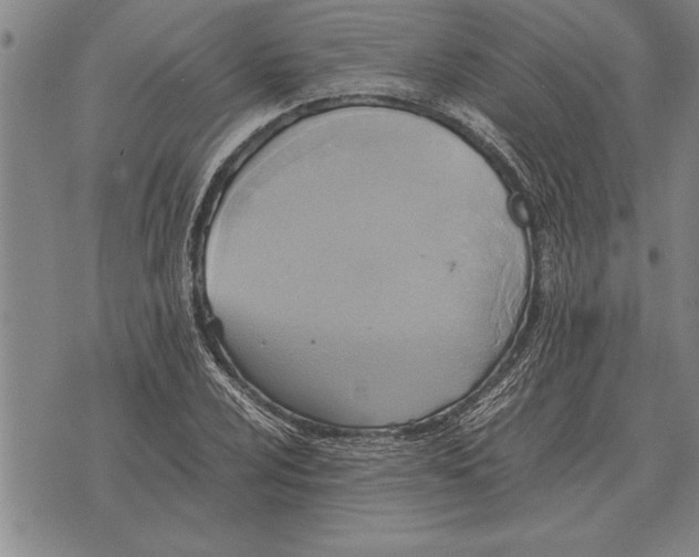 X0000075871024200610151655